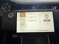 Land Rover Range Rover Evoque Dynamic SE Tetto Navi C.20 BlackPack NEW MODEL Blanco - thumbnail 27