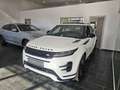 Land Rover Range Rover Evoque Dynamic SE Tetto Navi C.20 BlackPack NEW MODEL Blanco - thumbnail 18