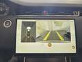 Land Rover Range Rover Evoque Dynamic SE Tetto Navi C.20 BlackPack NEW MODEL Blanco - thumbnail 14