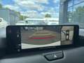 Mazda CX-60 Homura Plus 254 SOFORT 2025 Blanc - thumbnail 15