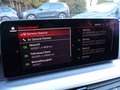 BMW 530 i xDrive Touring Aut Navi LC Pro Leder LED 4Z Grau - thumbnail 19