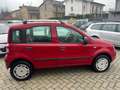 Fiat Panda Panda 1.4 natural power Dynamic Mamy Rouge - thumbnail 3