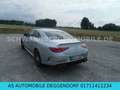 Mercedes-Benz CLS 53 AMG AMG Performance-Abgasanlage Silber - thumbnail 6