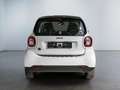 smart forTwo EQ  22KW Weiß - thumbnail 7