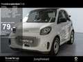 smart forTwo EQ  22KW Weiß - thumbnail 1