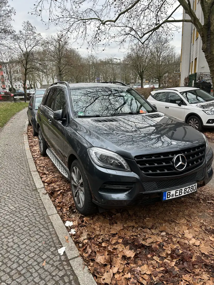 Mercedes-Benz ML 250 BlueTEC 4MATIC 7G-TRONIC - 1