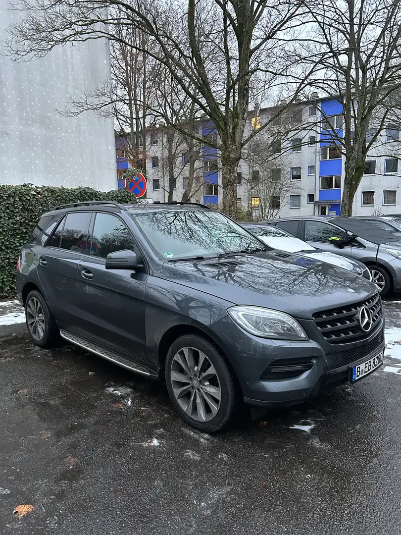 Mercedes-Benz ML 250 BlueTEC 4MATIC 7G-TRONIC - 1