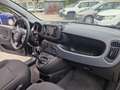 Fiat Panda 1.0 FireFly S&S Hybrid 5 POSTI !! PREZZO REALE !! Noir - thumbnail 11