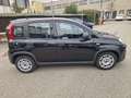 Fiat Panda 1.0 FireFly S&S Hybrid 5 POSTI !! PREZZO REALE !! Noir - thumbnail 7