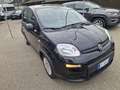 Fiat Panda 1.0 FireFly S&S Hybrid 5 POSTI !! PREZZO REALE !! Noir - thumbnail 3