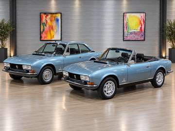 Coupé & Cabriolét V6 (idente Fahrkombination, s...