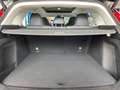 BAIC Senova X55 Luxury 1.5 Turbo GDI Autom. LED PANO ACC Rot - thumbnail 20