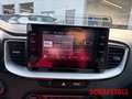 Kia XCeed 1.6 GDI PHEV Vision ACC Apple Android Klimaautom. White - thumbnail 12