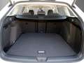 Volkswagen Golf VIII Variant 1.5 eTSI DSG Life AHK 360"CAM VC A... Weiß - thumbnail 7