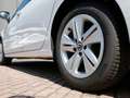 Volkswagen Golf VIII Variant 1.5 eTSI DSG Life AHK 360"CAM VC A... Weiß - thumbnail 6