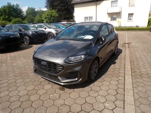 Ford Fiesta ST Line Ecoboost Winterpaket 4 Jahre FGS