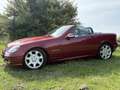 Mercedes-Benz SLK 200 K. Rood - thumbnail 2