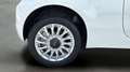 Fiat 500 1.0 Hybrid Cult 52kW Weiß - thumbnail 10