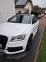 Audi SQ5 3.0 TDI quattro ABT Blanco - thumbnail 3