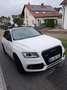 Audi SQ5 3.0 TDI quattro ABT Blanco - thumbnail 5