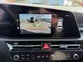 Kia Niro 1.6 PHEV Spirit DCT Technologie Relax Grün - thumbnail 11
