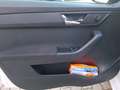 Skoda Fabia 1.0 TSI TSI Ambition NAVI SHZ APP GRA Weiß - thumbnail 21