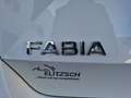 Skoda Fabia 1.0 TSI TSI Ambition NAVI SHZ APP GRA Weiß - thumbnail 25