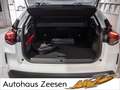 Citroen E-C4 Electric Blanc - thumbnail 19