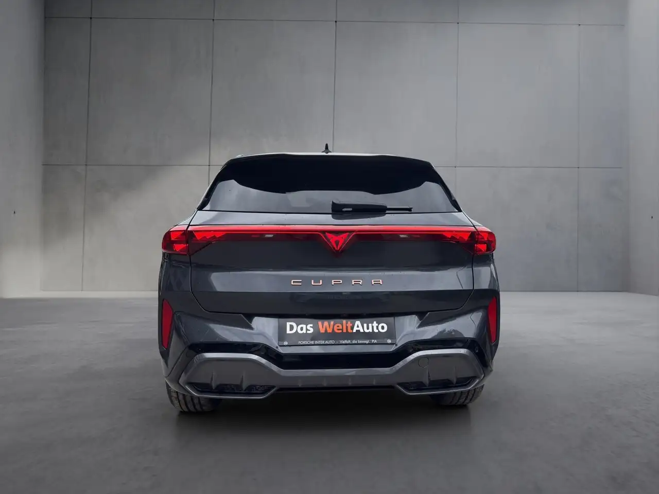 Cupra Terramar 2.0 TSI 204 PS DSG 4Drive, миниатюра 5