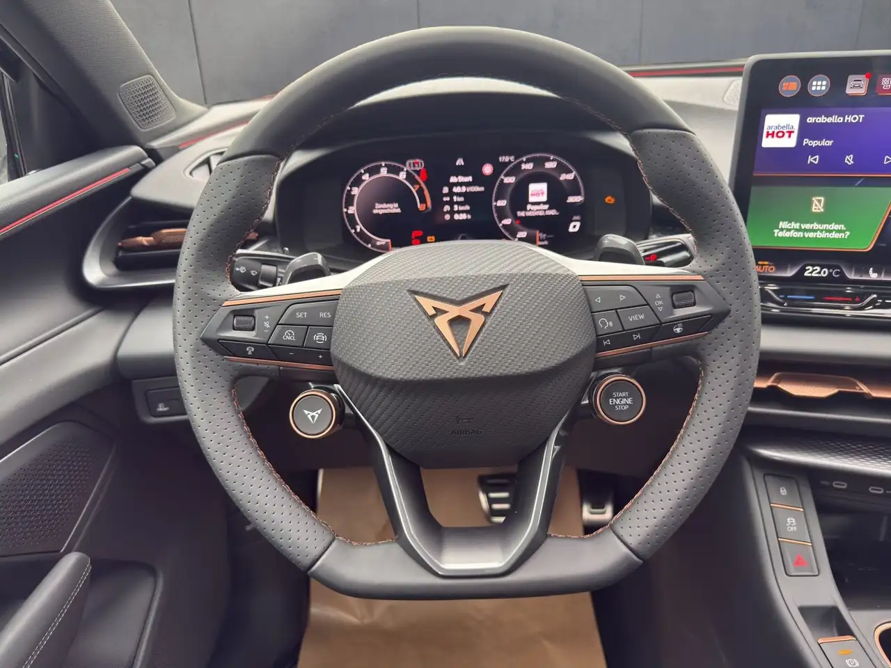 Cupra Terramar 2.0 TSI 204 PS DSG 4Drive, миниатюра 8