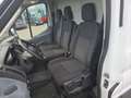 Ford Transit Kasten 2,0 EcoBlue L2H2 310 Trend Weiß - thumbnail 14