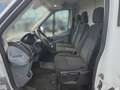 Ford Transit Kasten 2,0 EcoBlue L2H2 310 Trend Weiß - thumbnail 13