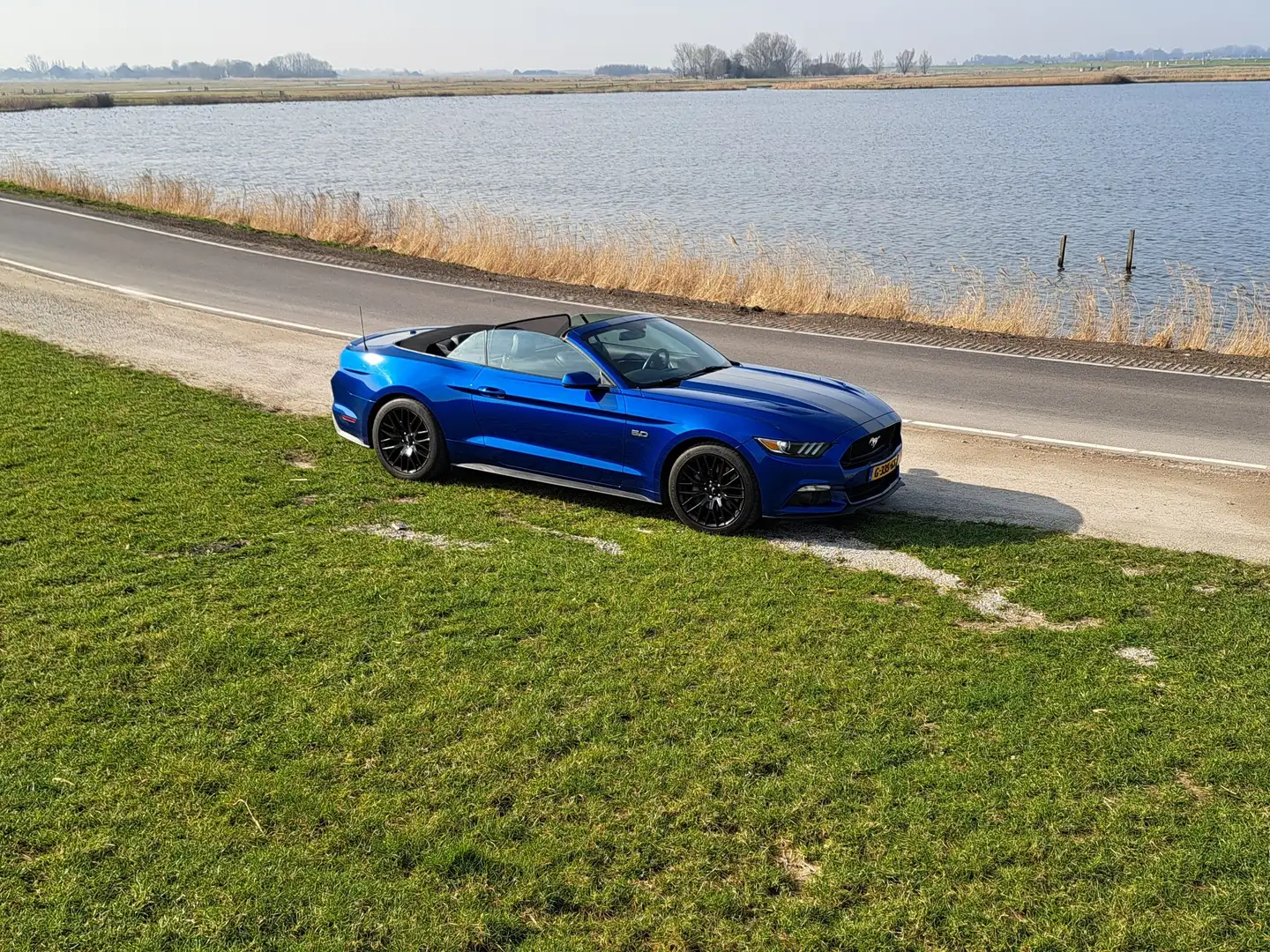 Ford Mustang GT 5.0 Cabriolet Blauw - 1