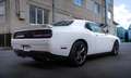 Dodge Challenger Blanco - thumbnail 17