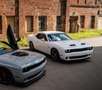 Dodge Challenger Blanco - thumbnail 20