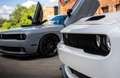 Dodge Challenger Blanco - thumbnail 18