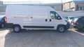 Fiat Ducato 33 2.3 MJT 140CV LH2 E6D-TEM VAN N1 Bianco - thumbnail 5