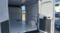 Fiat Ducato 33 2.3 MJT 140CV LH2 E6D-TEM VAN N1 Bianco - thumbnail 10