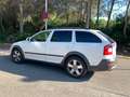 Skoda Octavia Octavia Combi 1.8 TSI Executive Executive Blanco - thumbnail 2