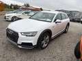 Audi A4 allroad basis Weiß - thumbnail 2