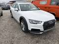 Audi A4 allroad basis Weiß - thumbnail 1
