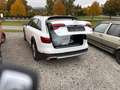 Audi A4 allroad basis Weiß - thumbnail 3