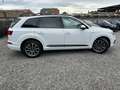 Audi Q7 | 50TDi | S-Line | 20" | NAVI | LED | CAMERA Blanc - thumbnail 9