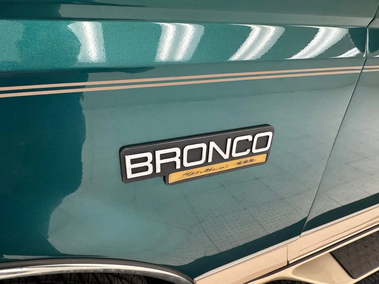 Ford Bronco Eddie Bauer, foto 12