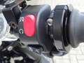 Triumph Scrambler 900 Weiß - thumbnail 8