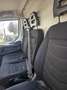 Iveco Daily V PL TM 35S15 L4 H2 motore 12/24 Bianco - thumbnail 3