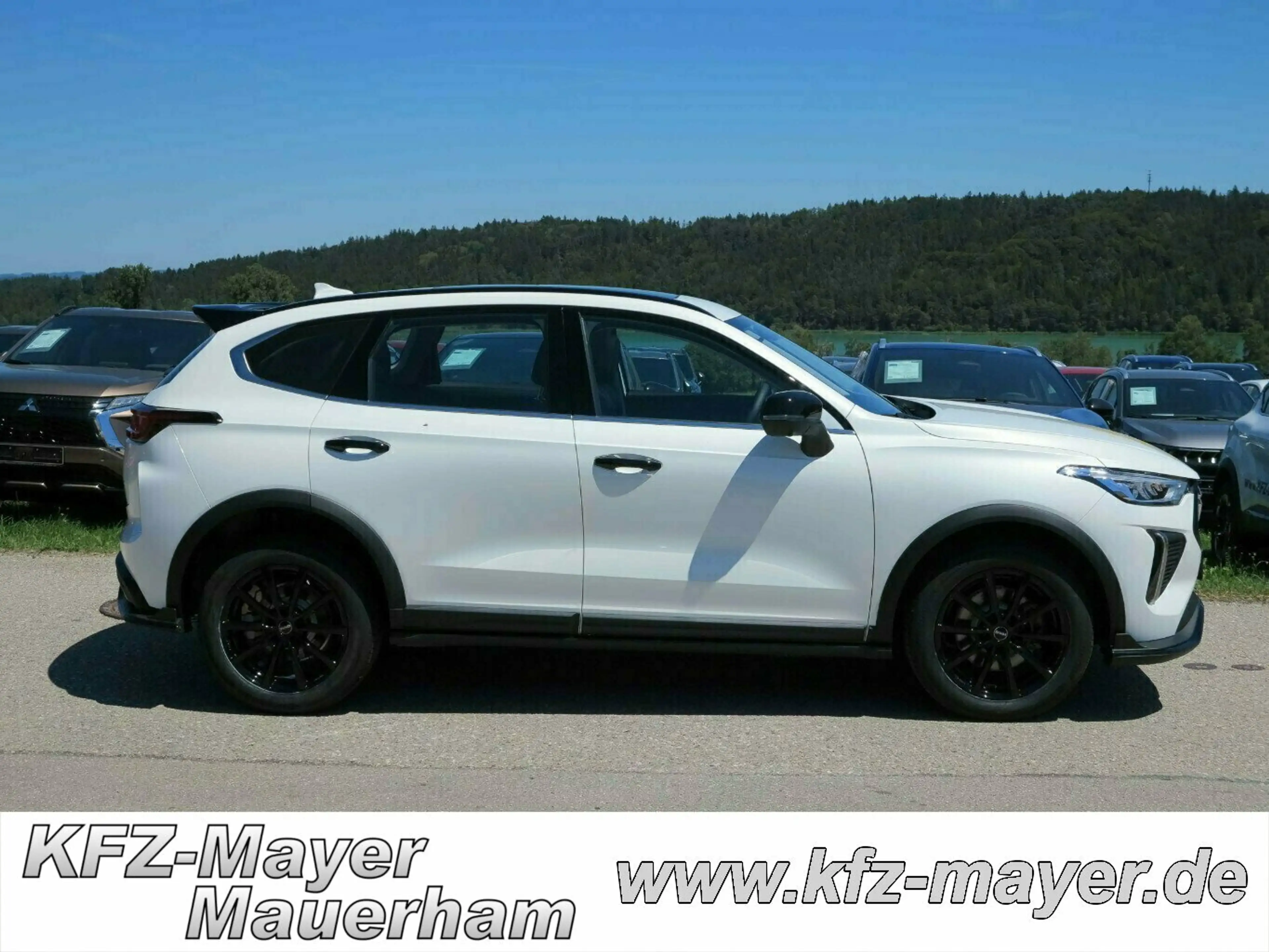GWM HAVAL Jolion Pro Premium mit 18" SR + WR Satz 17"