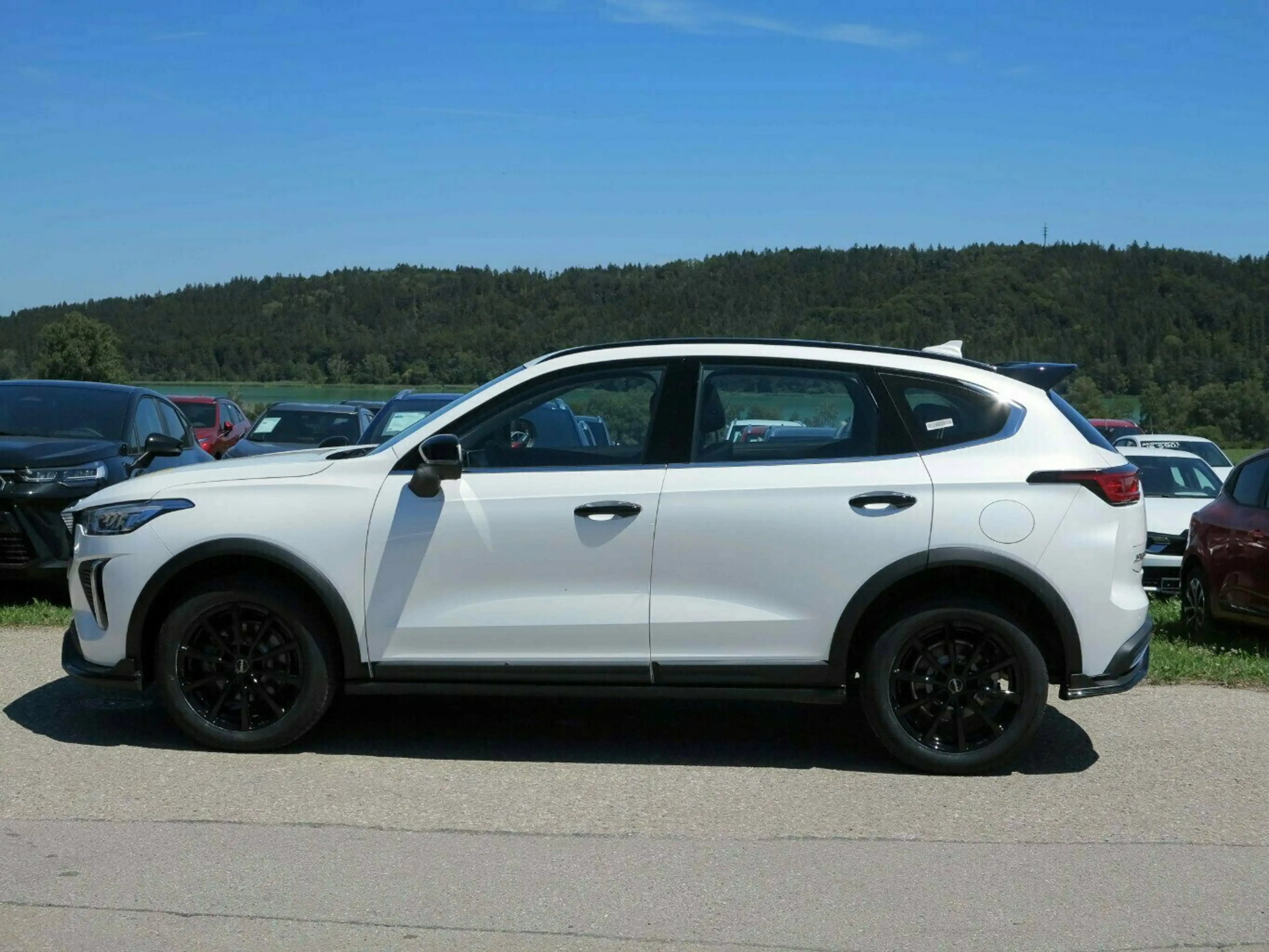 GWM HAVAL Jolion Pro Premium mit 18" SR + WR Satz 17" — photo 4