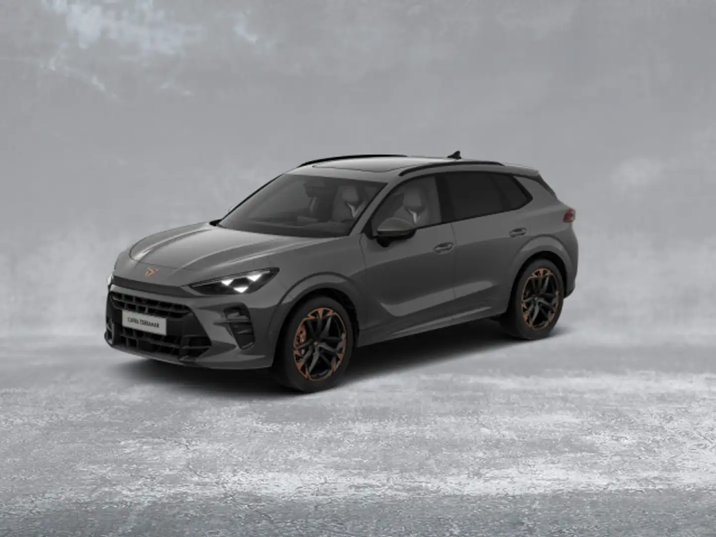 CUPRA Terramar VZ 2.0 TSI DSG MATRIX+NAVI+ACC+DCC+360° Grau - 2