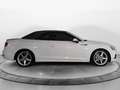 Audi A5 Cabrio 40 2.0 tdi Business Sport 190cv Bianco - thumbnail 4